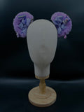Hairclips