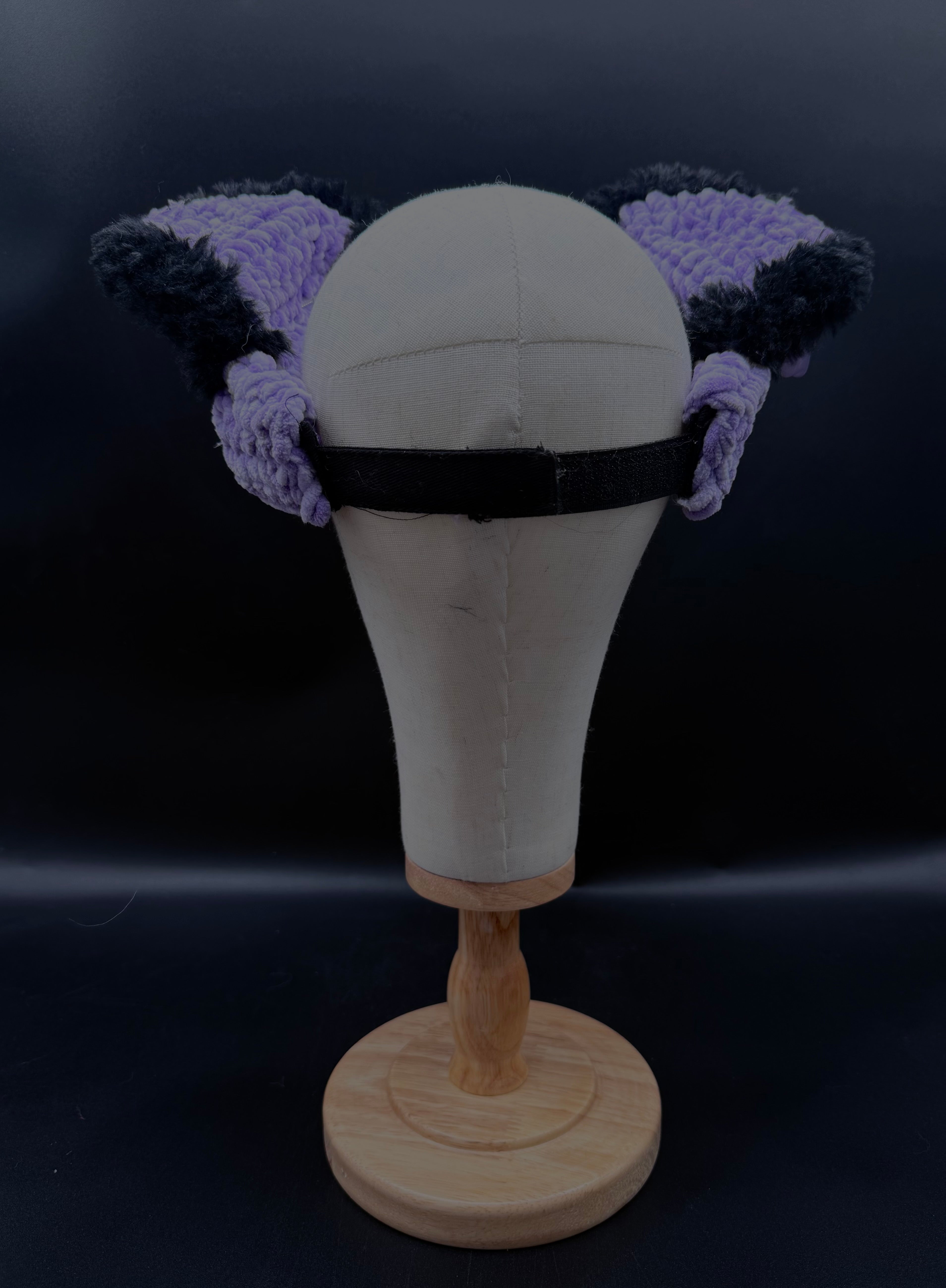visor