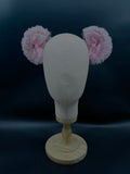Hairclips