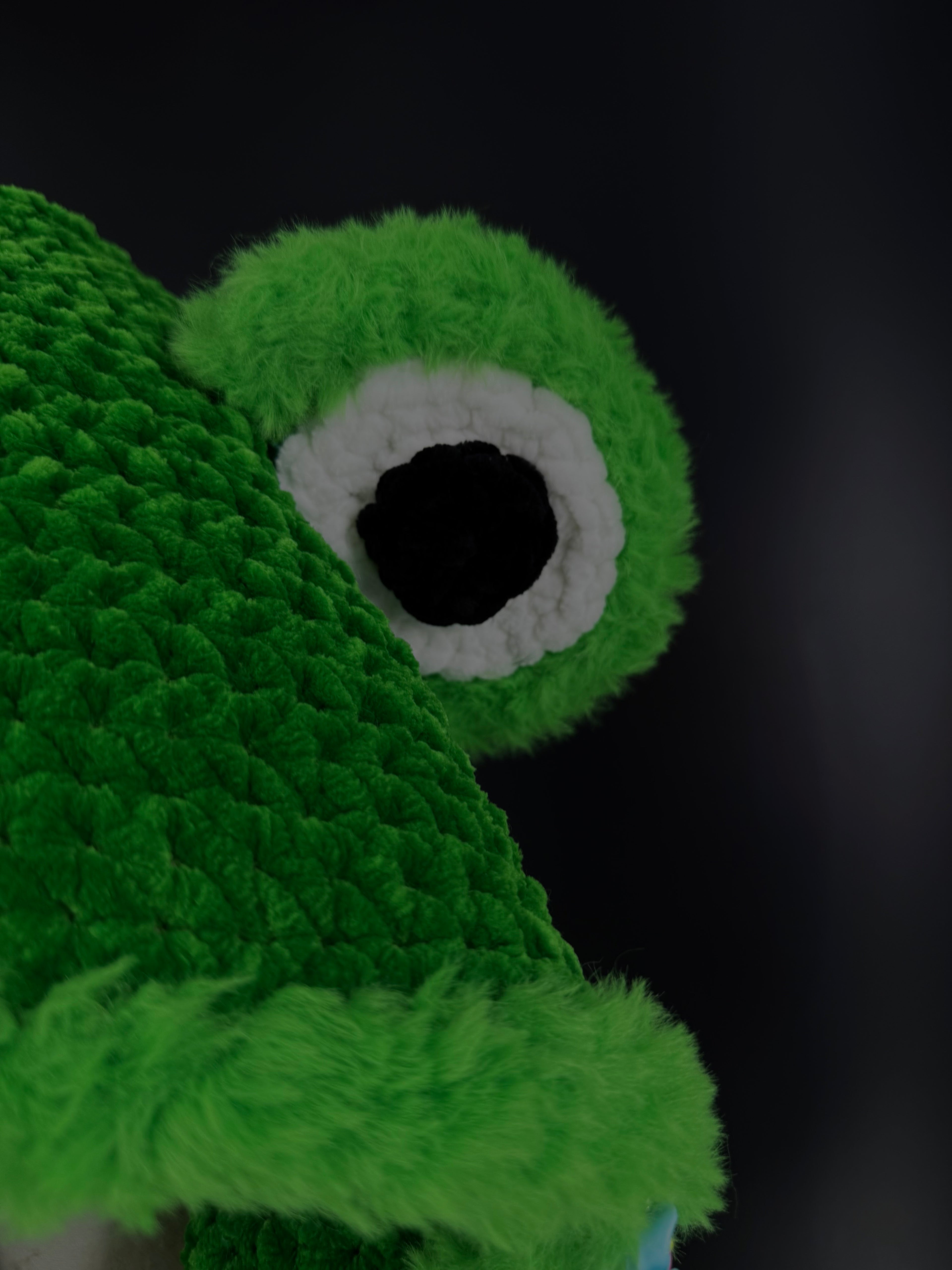 Frog Regular Hood