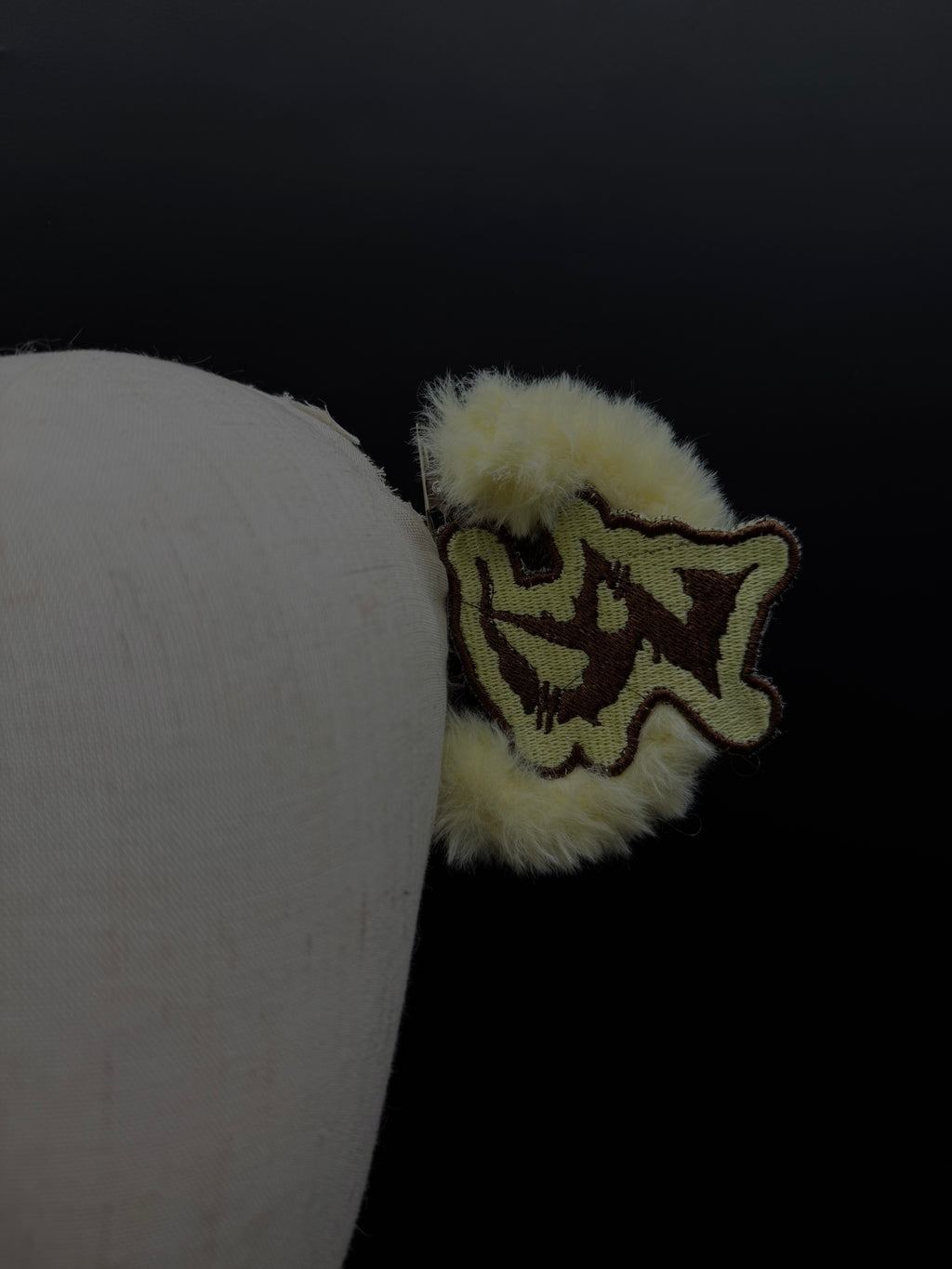 Hairclips